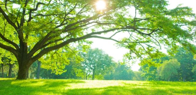 地域と環境のソリューション