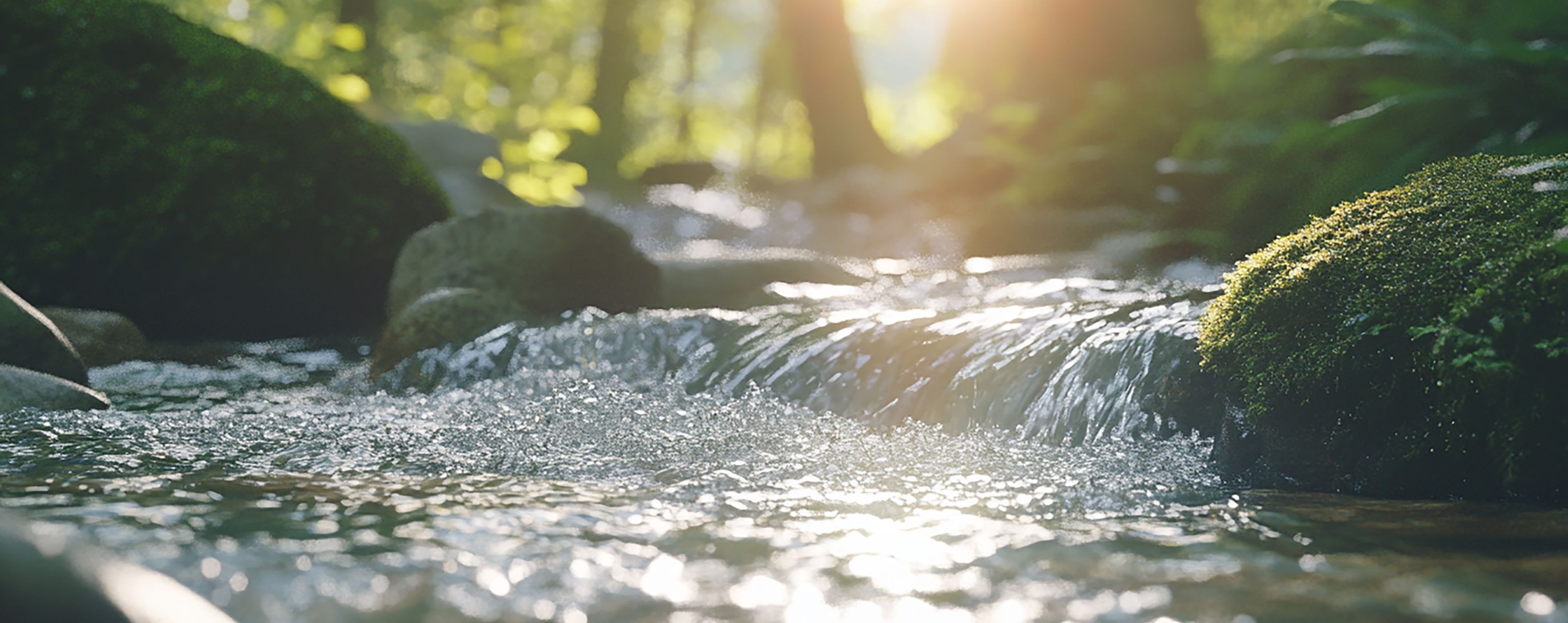 水と環境のオペレーションカンパニーとは？
