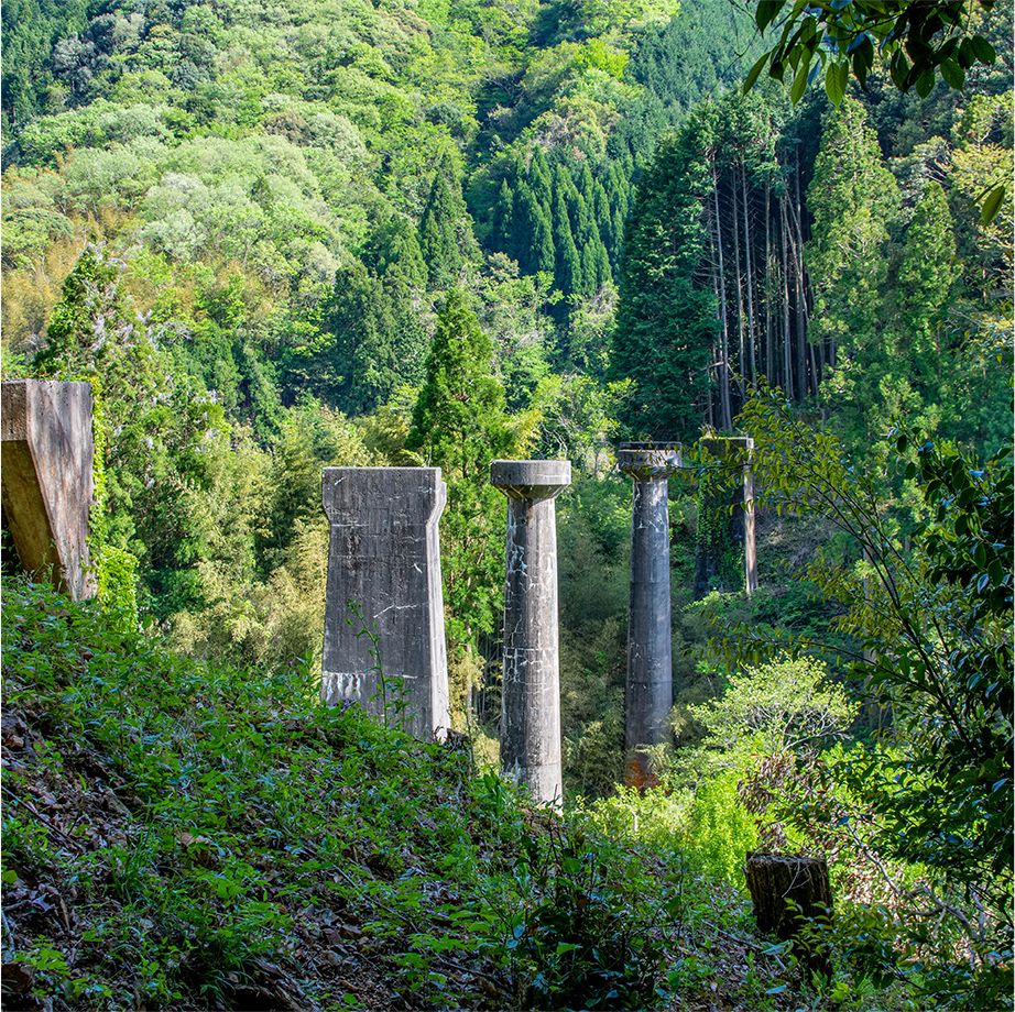 実績とともに築いた安定基盤