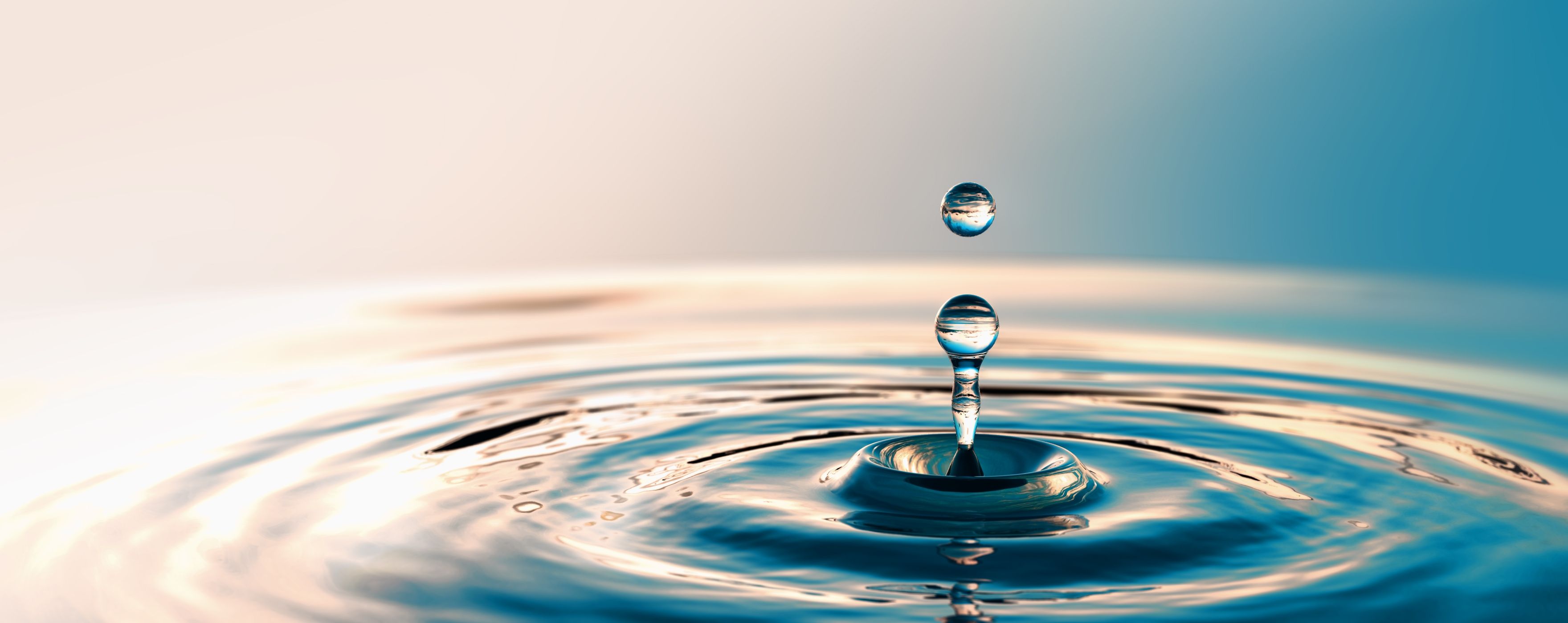 水と環境のオペレーションカンパニーとは？