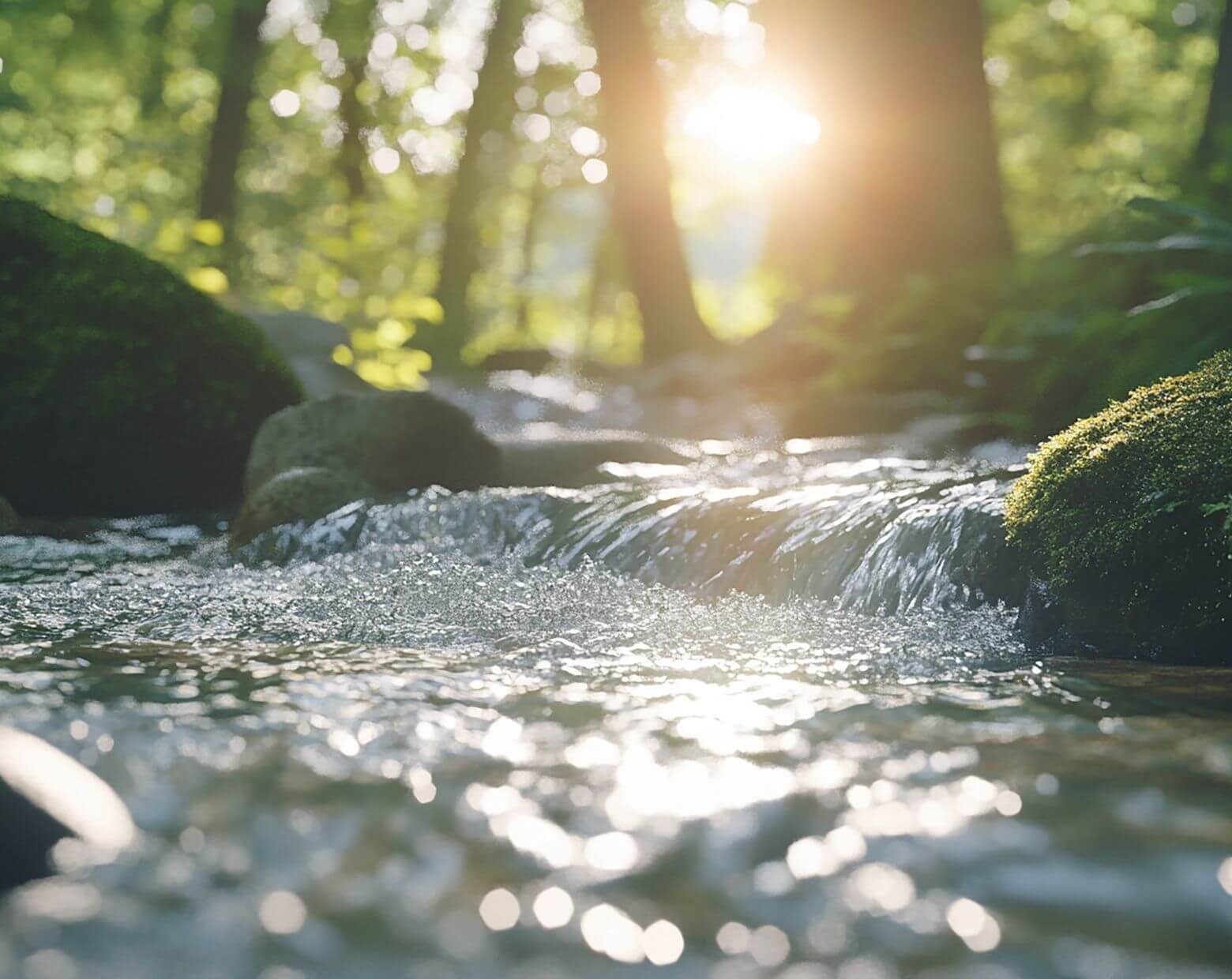 水と環境のオペレーションカンパニーとは？