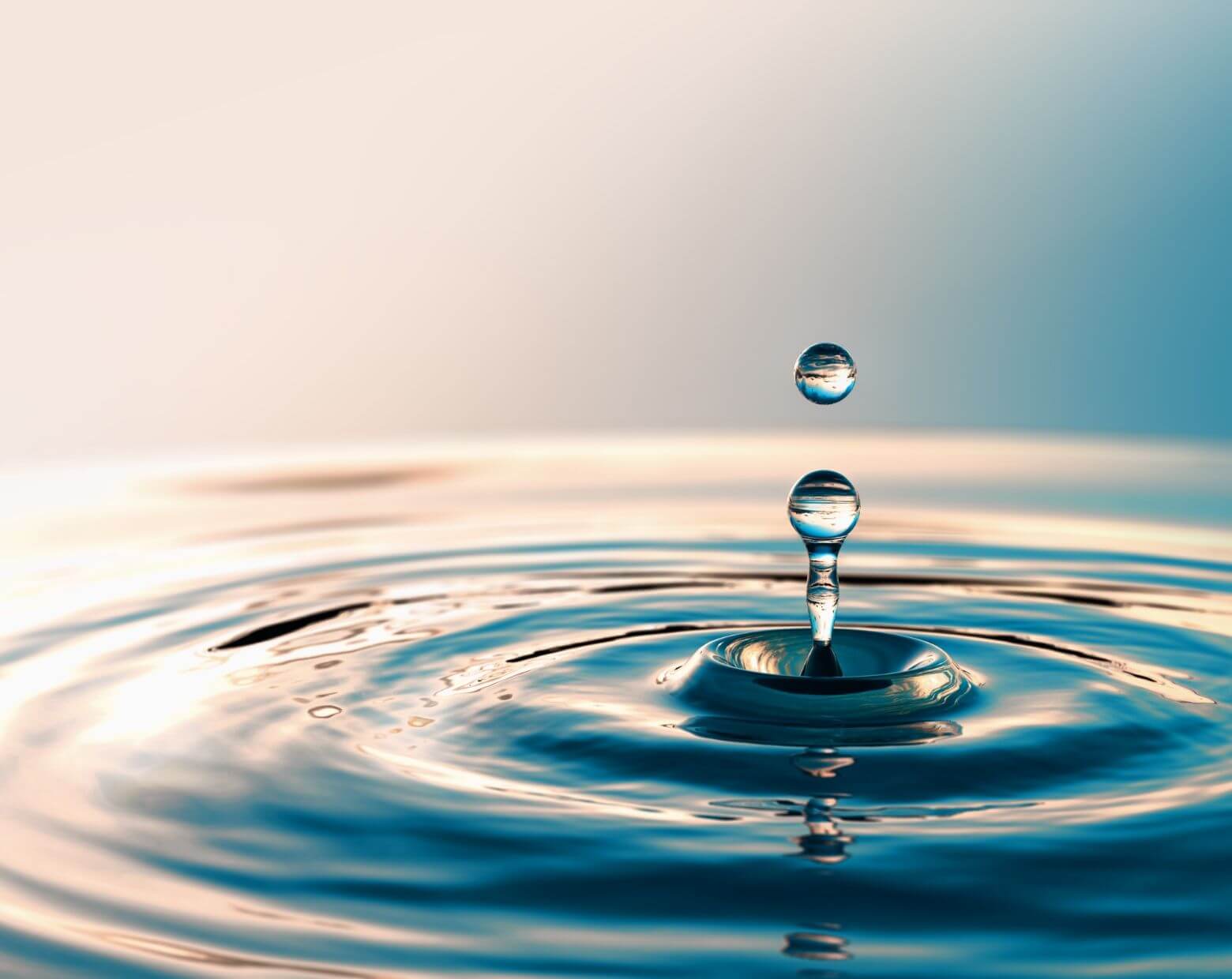 キーワードから見るNJSで働く魅力