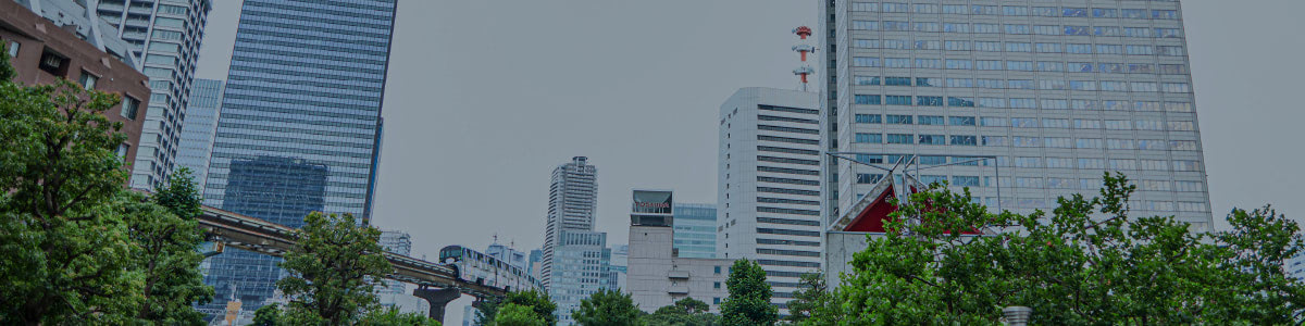 NJSについて